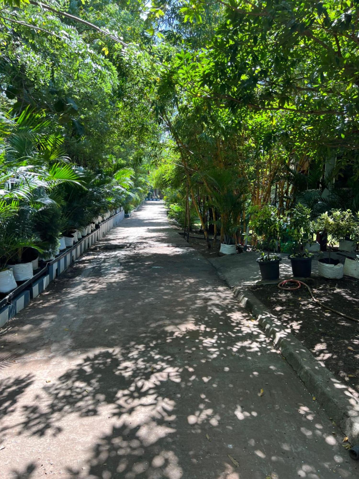 The Midway Jungle Resort 마시나구디 외부 사진